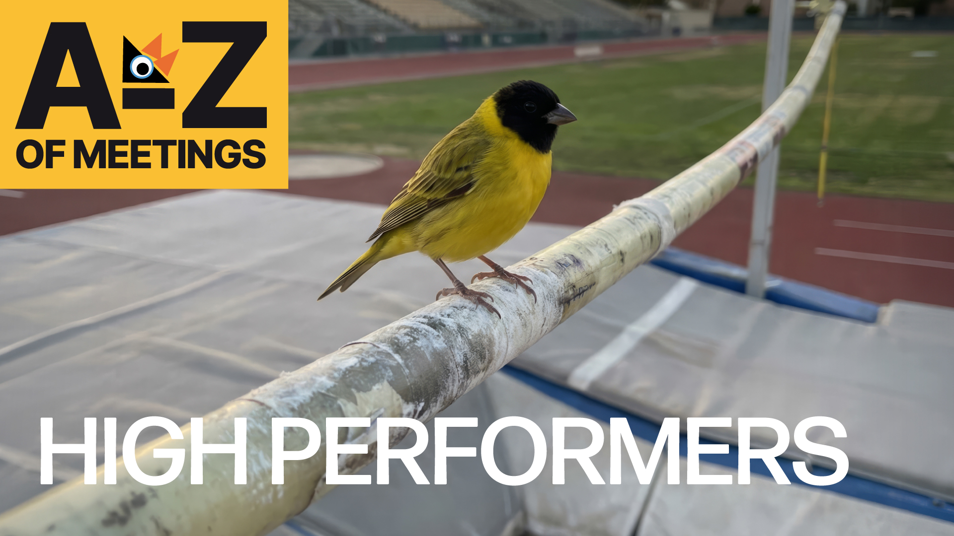 H: High performing teams