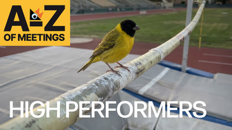H: High performing teams